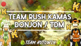 ❄️ DOFUS - TEAM RUSH KAMAS - ON PARS XP UN PEU, TEST DE DONJON x TDM ! VIENS ! ❄️