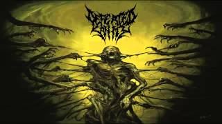 Defeated Sanity - Passages Into Deformity (2013) {Full-Album}