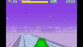 Yoshi's Safari Level 10