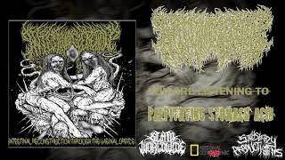 Intestinal Secretion - Intestinal Reconstruction Through The Vaginal Orifice - Full Demo Stream