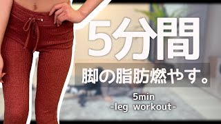 2020年最新版！脚やせしたきゃまずはこれをやれ！! // leg workout