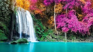 Relaxing Sleep Music 24/7, Sleep Therapy, Calm Music, Meditation, Insomnia, Spa, Study, Yoga, Sleep