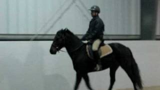 MOV04967