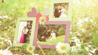 Free Project Wedding Our Love Story Photo Gallery