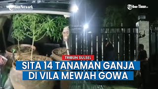 DitresNarkoba Polda Sulsel Amankan Barang Bukti Ganja dan Pelaku Usai Grebek Vila Mewah di Gowa