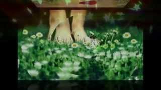 ProShow Producer 5 0 Effect   07 Transitions &amp; 01 Bonus Style