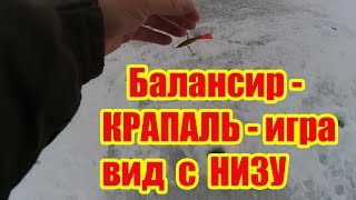 ИГРА БАЛАНСИРА КРАПАЛЬ\ПОД ВОДОЙ\ЗИМНЯЯ РЫБАЛКА.
