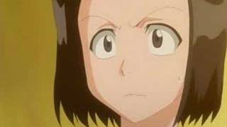 Hitsugaya & Karin -Fall to Pieces-