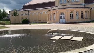Neustrelitz