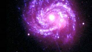 XMM-Newton - A decade of discoveries
