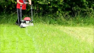 HONDA Izy HRG 536 C7 a test mulčování