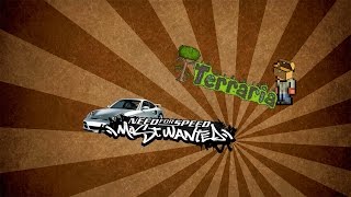 Гоняем в  NFS Most Wanted и возможно Terraria