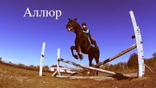 Аллюр