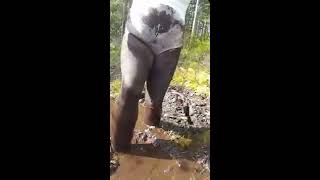 Nylon in mud