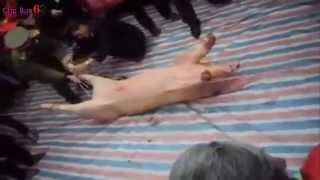 Kinh hoàng Lễ hội chém lợn ở Bắc Ninh yếu tim không nên xem   Kill Pig Festival