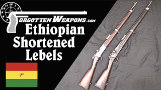 Uniquely Ethiopian Shortened Lebel Rifles