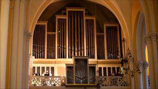 New Life Brass Quintet (Solo Trumpet - Organ). G.Teleman - Concert Part 2
