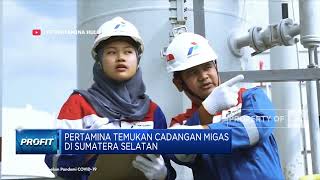 Pertamina Temukan Cadangan Migas Di Sumatera Selatan