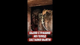 Душевнобольная в адских условиях #shorts
