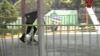 Luis Marquez Drop In Retrete "Major Tom"