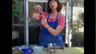 How To Force Spring Bulbs to Grow indoors in the Winter