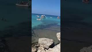 SEA SUN ️ SUMMER