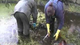 Women With Waders Video