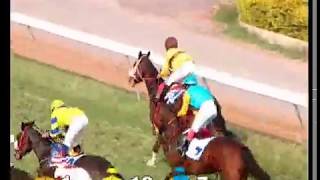 The Royal Western India Turf Club Cup WINNER:HAPPY TOGETHER
