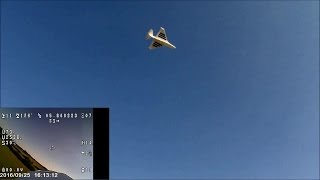 POLARIS XL FPV OSD TAROT TL300L