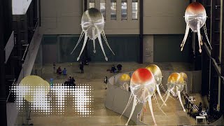 Ask the Artist | Questions for Anicka Yi 