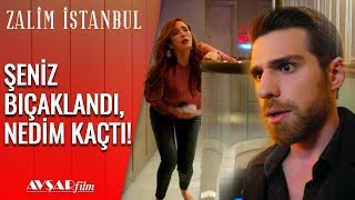 Şeniz Bıçaklandı, Nedim Kaçtı!? - Zalim İstanbul 28. Bölüm