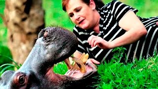 ТОП НЕОБЫЧНЫХ ДОМАШНИХ ЖИВОТНЫХ