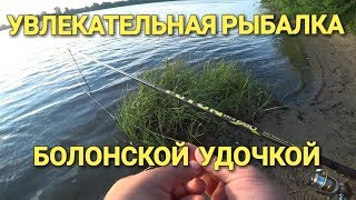 Увлекательная рыбалка.Ловля болонской удочкой в проводку на Оке