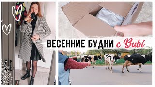 ВЕТЕР УНЁС БАТУТ !!!???? ПОКУПКИ ДЕТСКОЙ ОДЕЖДЫ