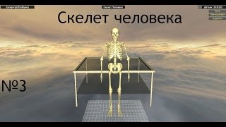 World of Guns Gun Disassembly разбираем скелет человека на Русском№3