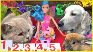 Барби Фея УЧИМ ЦИФРЫ Barbie Развивающий Мультик с игрушками для малышей Учимся считать от 1 до 5