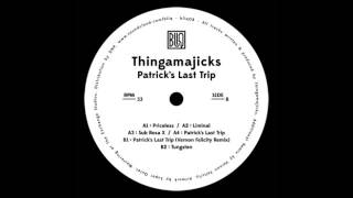 thingamajicks - tungsten (BLIQ08) 2014