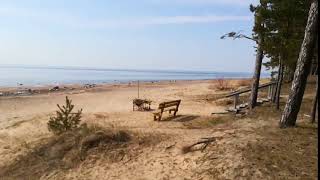 путь к морю дорога до моря вид с дюнной зоны Youtube Shorts #Shorts