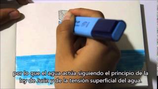 LEY DE JURIN