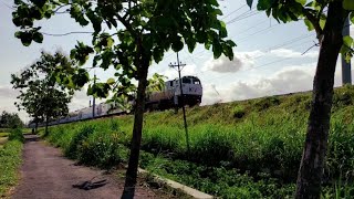 KERETA API LEWAT TENGAH SAWAH - #shorts SJK