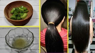 SEPERTI PERAWATAN SALON... RAMBUT TUMBUH LEBAT DAN PANJANG MENGGILA DENGAN RESEP INI 