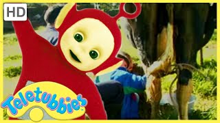 Teletubbies Everywhere | Milking the Cow (Columbia) | 249 | Cartoons for Children