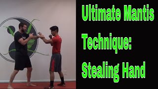 Mantis Technique: Stealing Hand