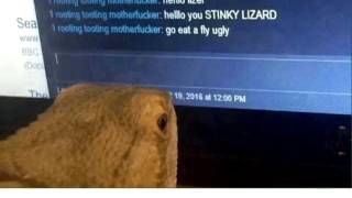 HENLO