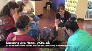ACHS.edu Latin Names for Aromatherapy and Herbal Medicine