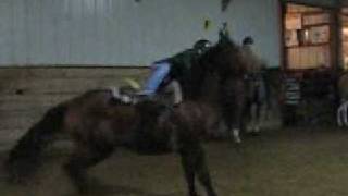 Abby falling off Cotton -and landing on her feet!
