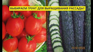 Грунт для рассады.Как выбрать почву для посевов? Какой грунт самый лучший?