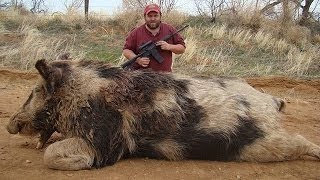 Охота на кабана. #3 Wild boar hunting