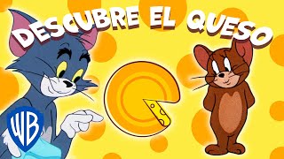 Tom y Jerry en Español | Juego Descubrir el queso ????
