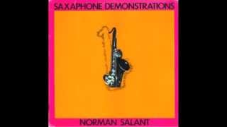 Norman Salant - As Far As We Can See